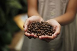 Doncafe Espresso Intense – o alegere potrivita